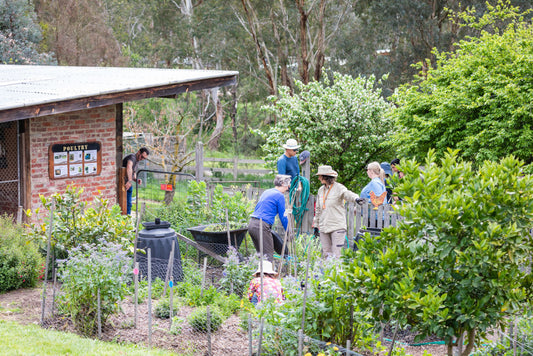 Sustainable Garden Solutions: Eco-Friendly Tools and Decor