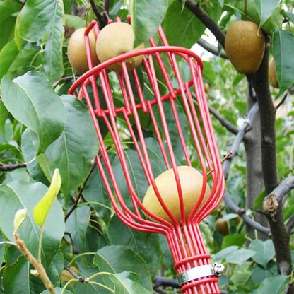 Metal Tree Fruit Picker