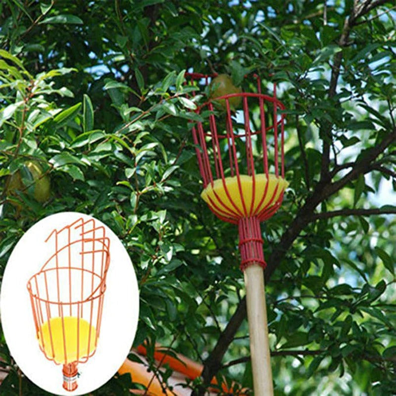 Metal Tree Fruit Picker